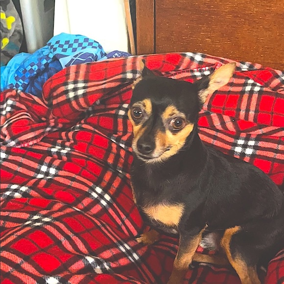 Meet your Posher, Michelle - Picture 4 of 6